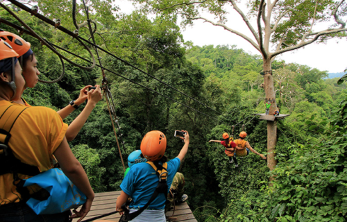 <h1><strong>Flight of the Gibbon</strong></h1>
